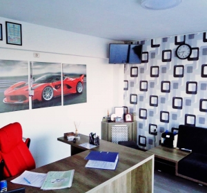 MARDARE PARC AUTO CONSTANTA